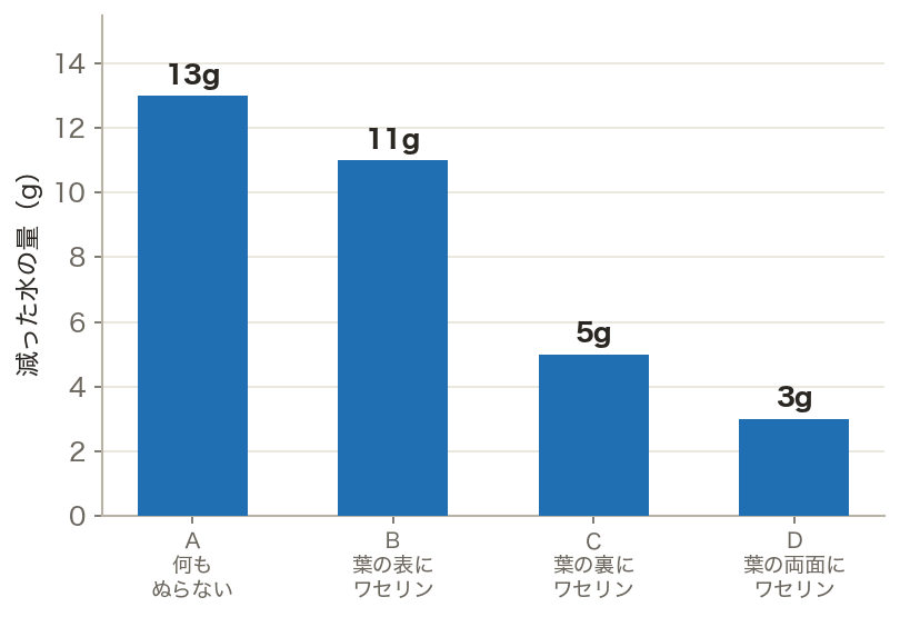 ワセリンをぬった葉の蒸散量（グラフ）