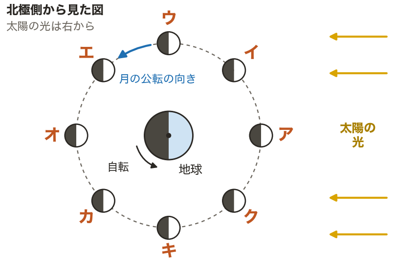 月の位置と見え方（図）